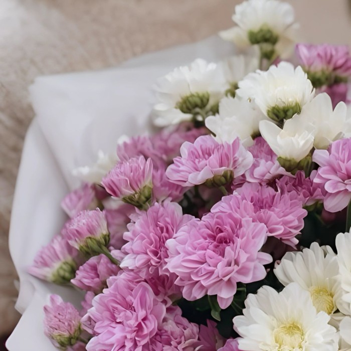 Букет из белых и сиреневых хризантем Букет из белых и сиреневых хризантем