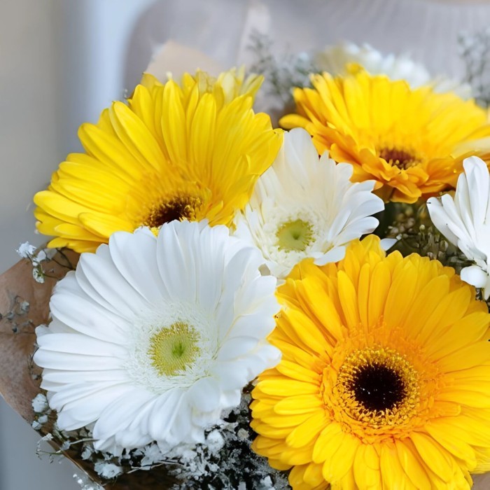 Красивый букет из гербер Красивый букет из гербер