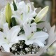 Букет лилии с гипсофилой