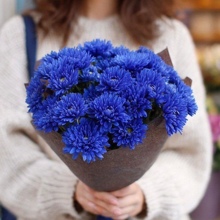 Маленький букет из синих хризантем Маленький букет из синих хризантем