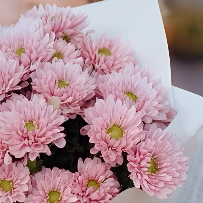 Мини букет из розовых хризантем Мини букет из розовых хризантем