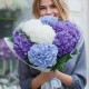 Монобукет из 7 гортензий