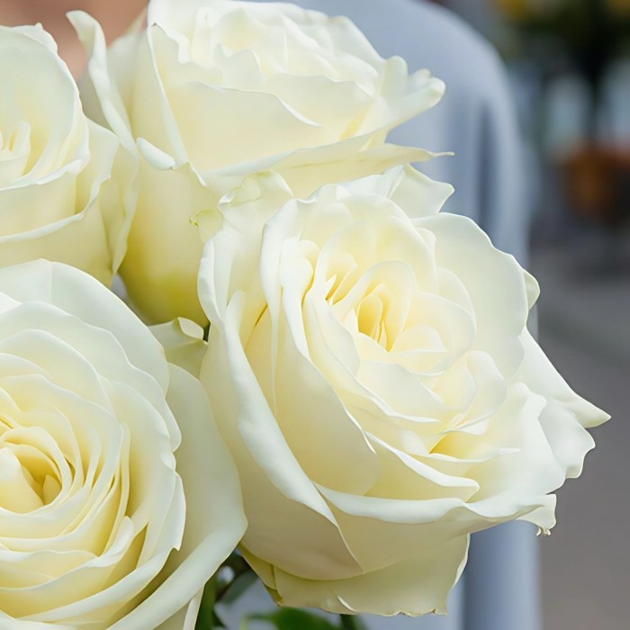 Букет белые розы 5 шт.