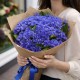 Букет из 51 василька