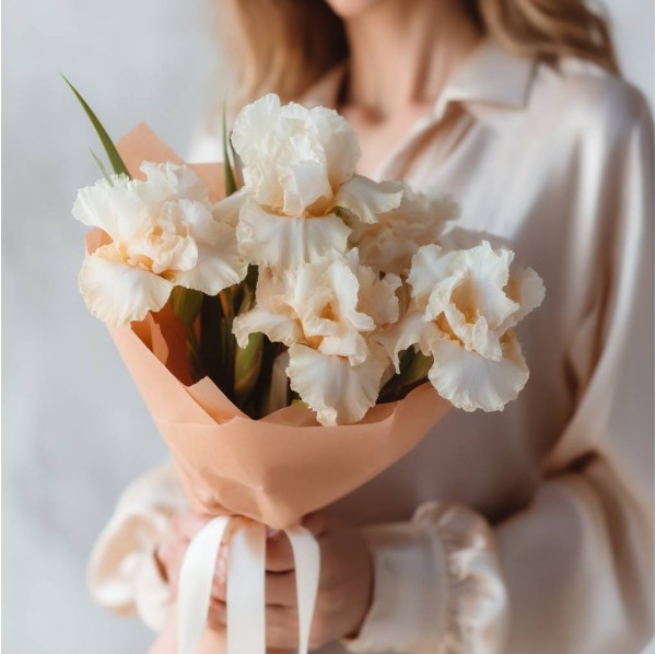 Букет 5 кремовых ирисов